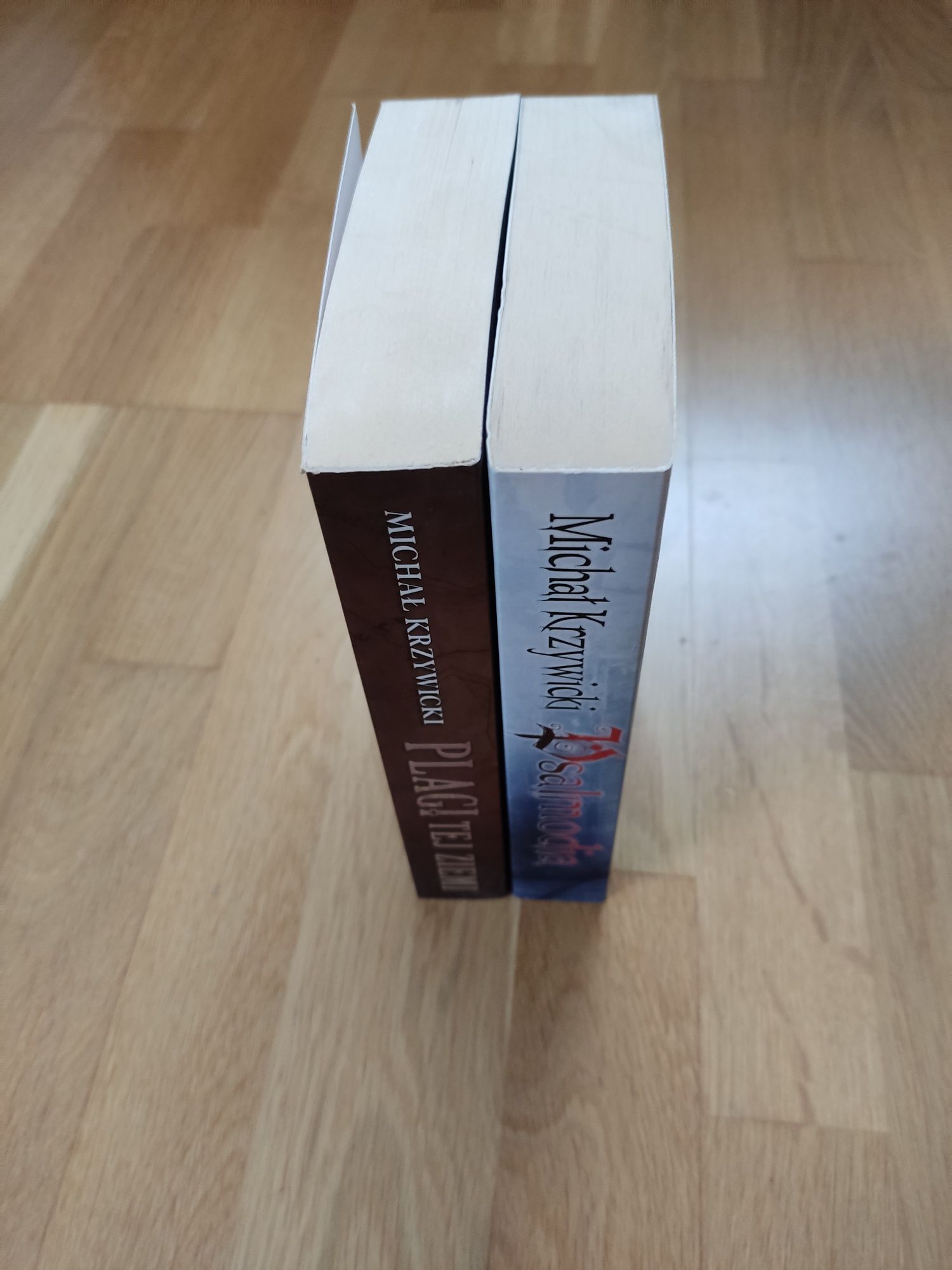 Michał Krzywicki Psalmodia Plagi tej ziemi