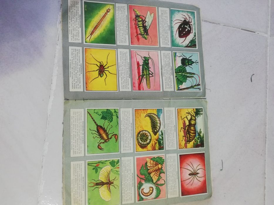 Cadernetas de cromos antigas