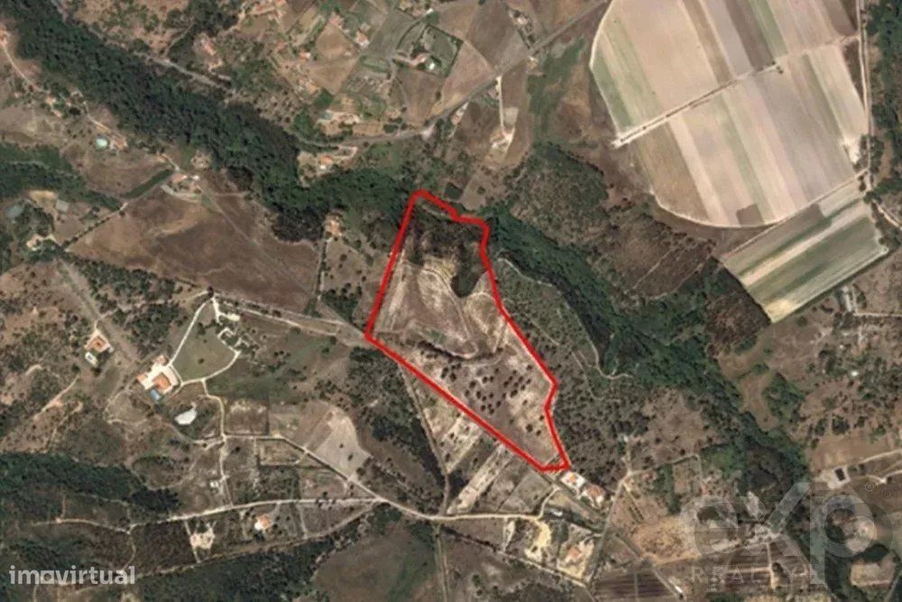 Investimento Imperdível em Odemira