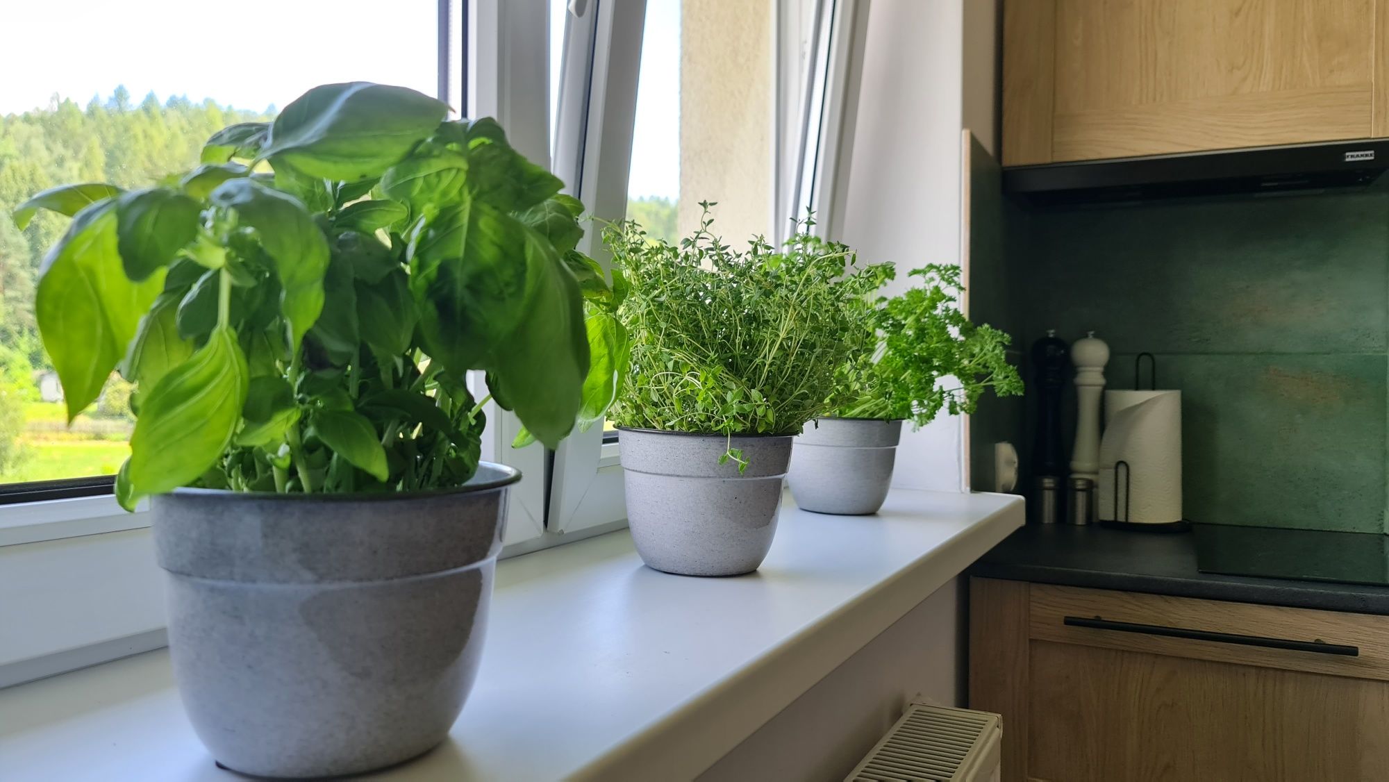 Apartament z Jacuzzi WAKACJE 2025