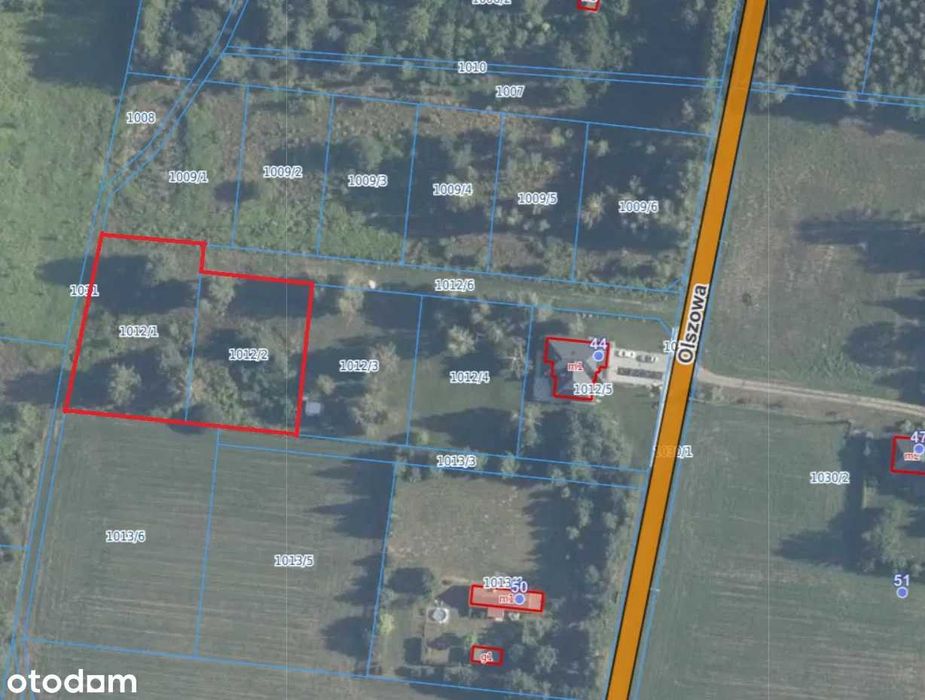 Działka z wydanymi Warunkami Zabudowy Chrzęsne