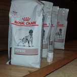 ROYAL CANIN DOG HEPATIC 4×1.5KG plus  Hepadol Max mini 60 tabletek