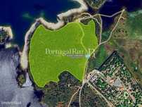 Terreno com 11,5ha na barragem de Idanha-a-Nova