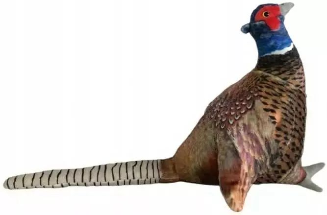 Bażant 30cm. Dubi