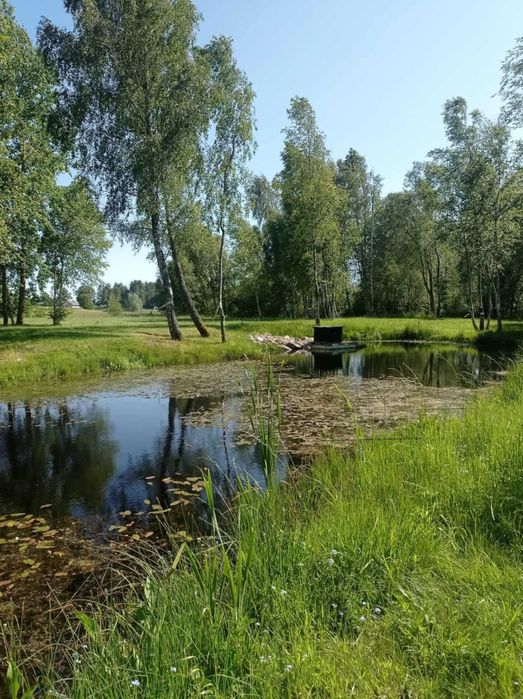 Domki całoroczne na wynajem
