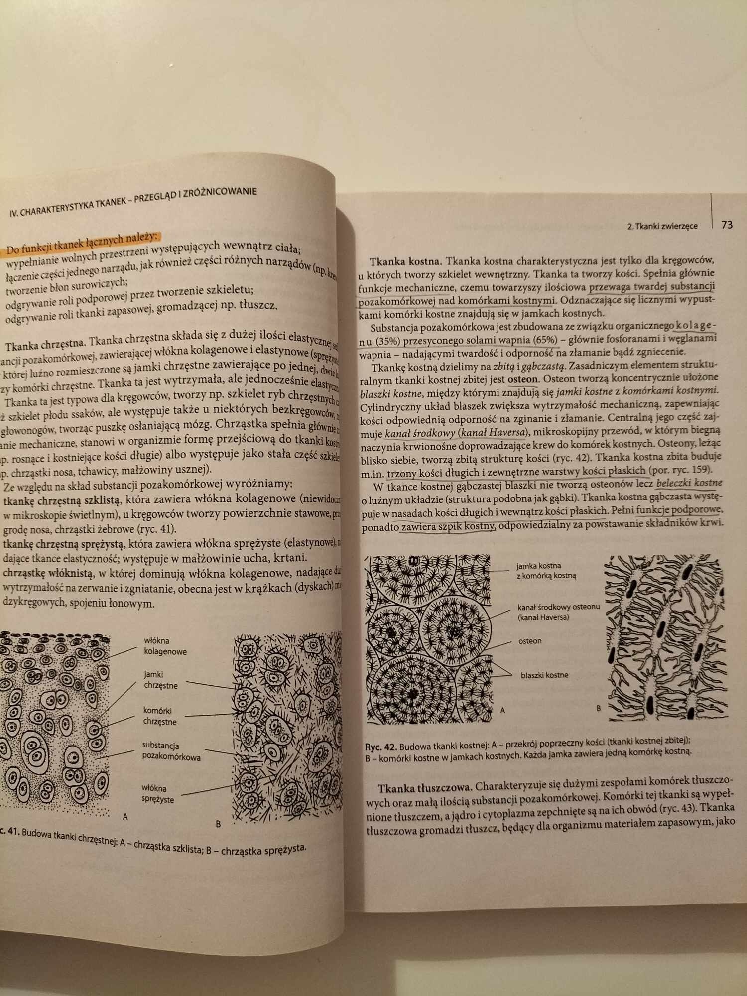 Biologia Vademecum maturzysty Pyłka