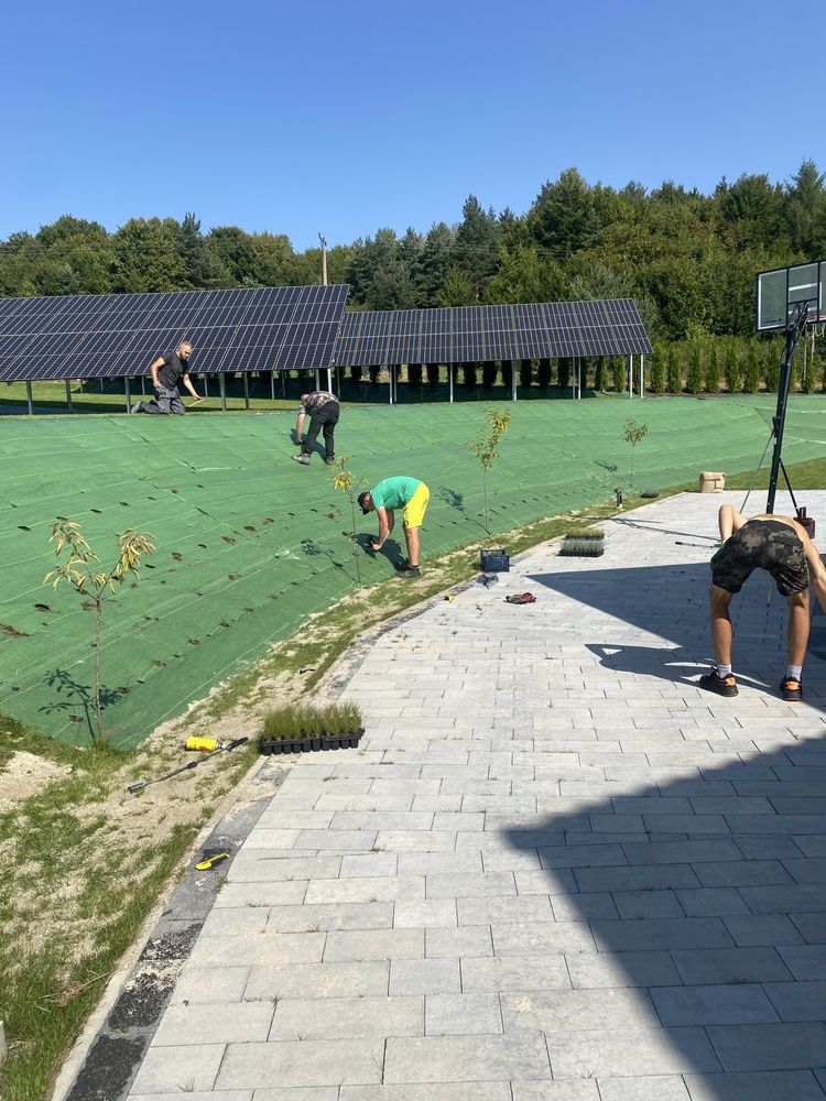 Usługi Ogrodnicze. Boguchwała, Rzeszów  i okolice.