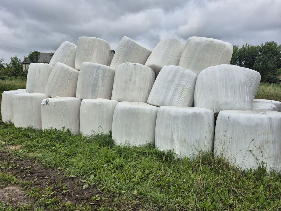 Sprzedam bele lucerny  z trawo około 40 w foli sztuk