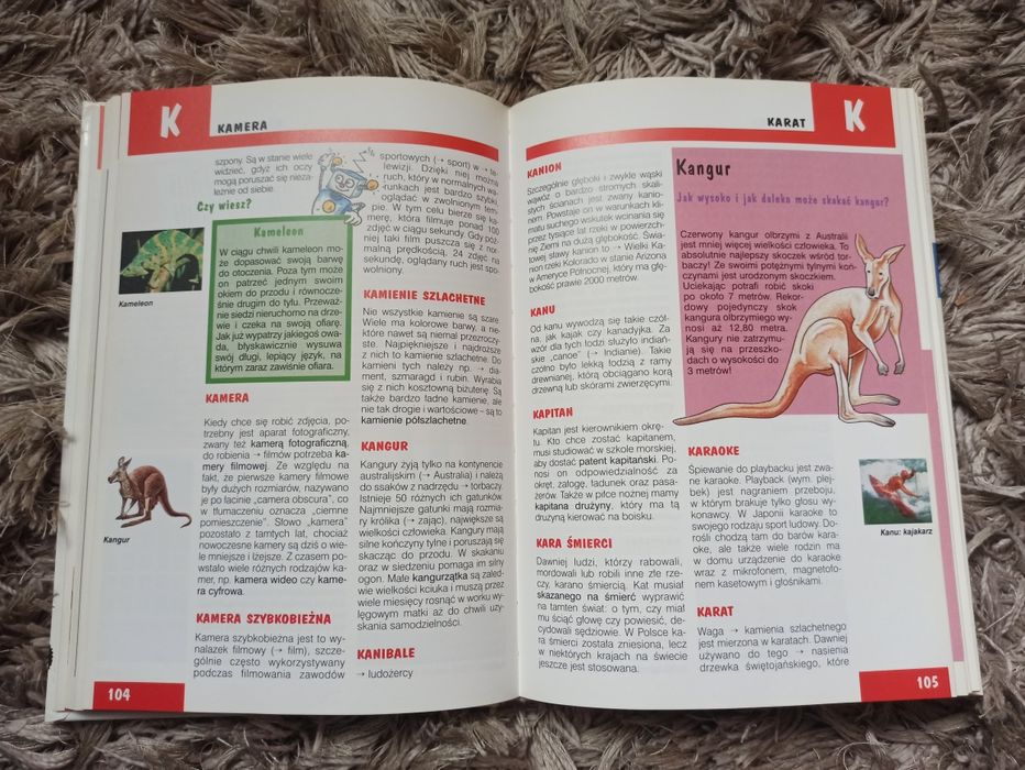 Ilustrowany leksykon dla dzieci