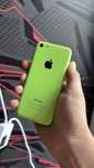 Iphoen 5c zielony