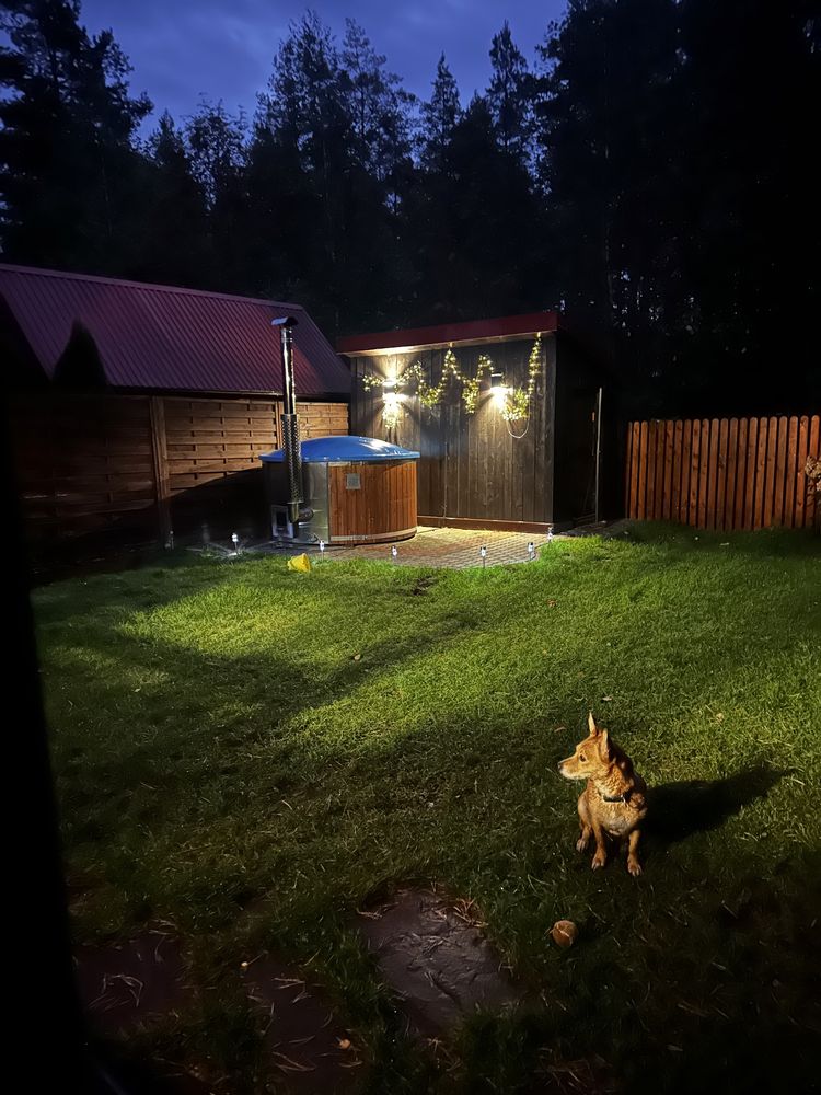 Domek letniskowy w Puszczy Augustowskiej w Atenach sauna balia