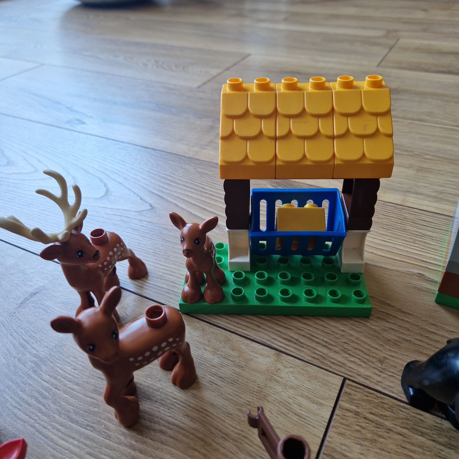 Lego Duplo Leśny Park 10584