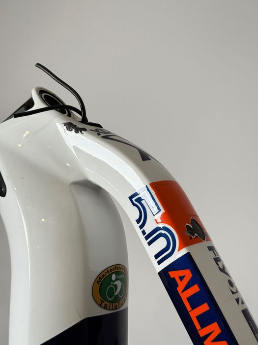 Rama frameset Haibike X DURO FV