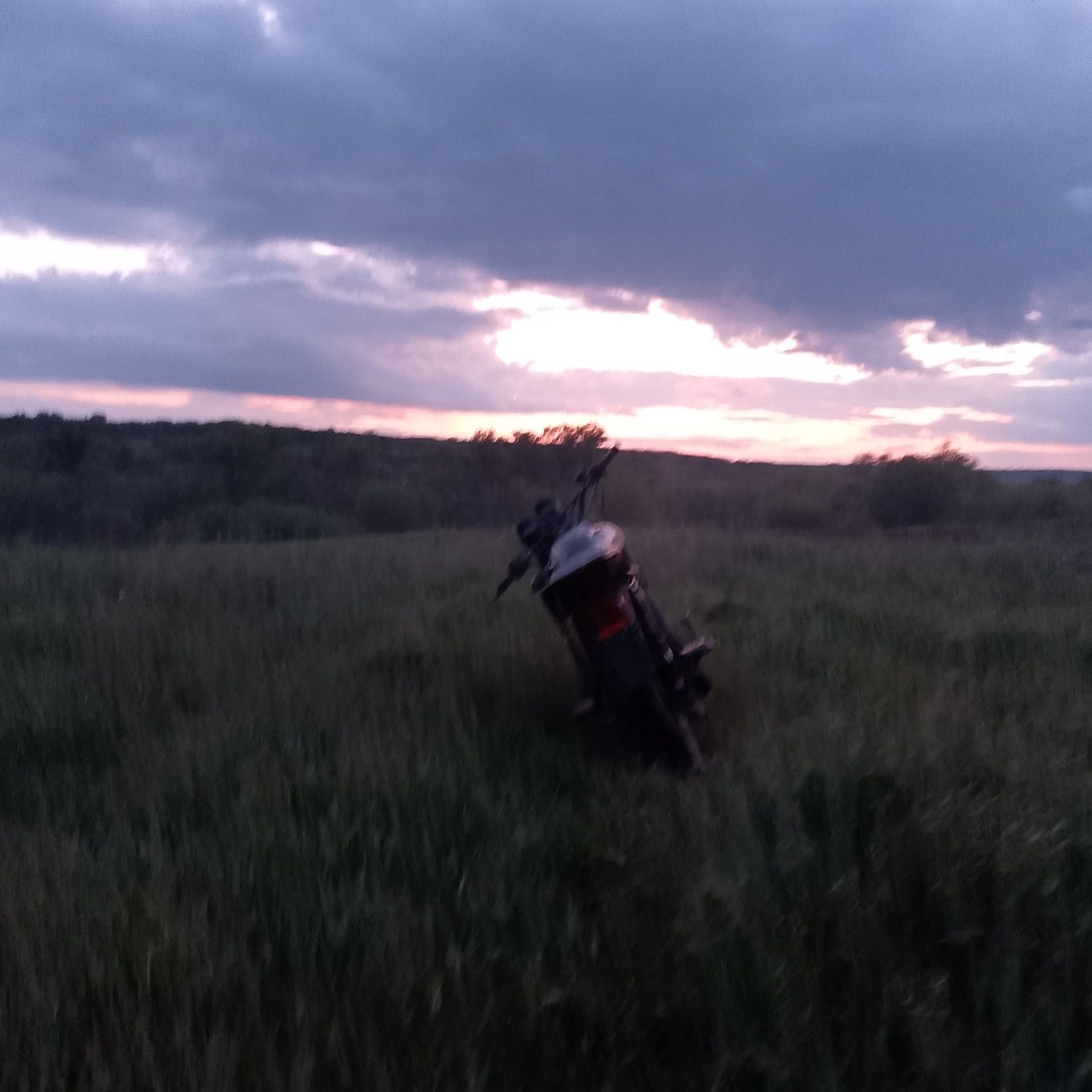 Альфа в доброму стані
