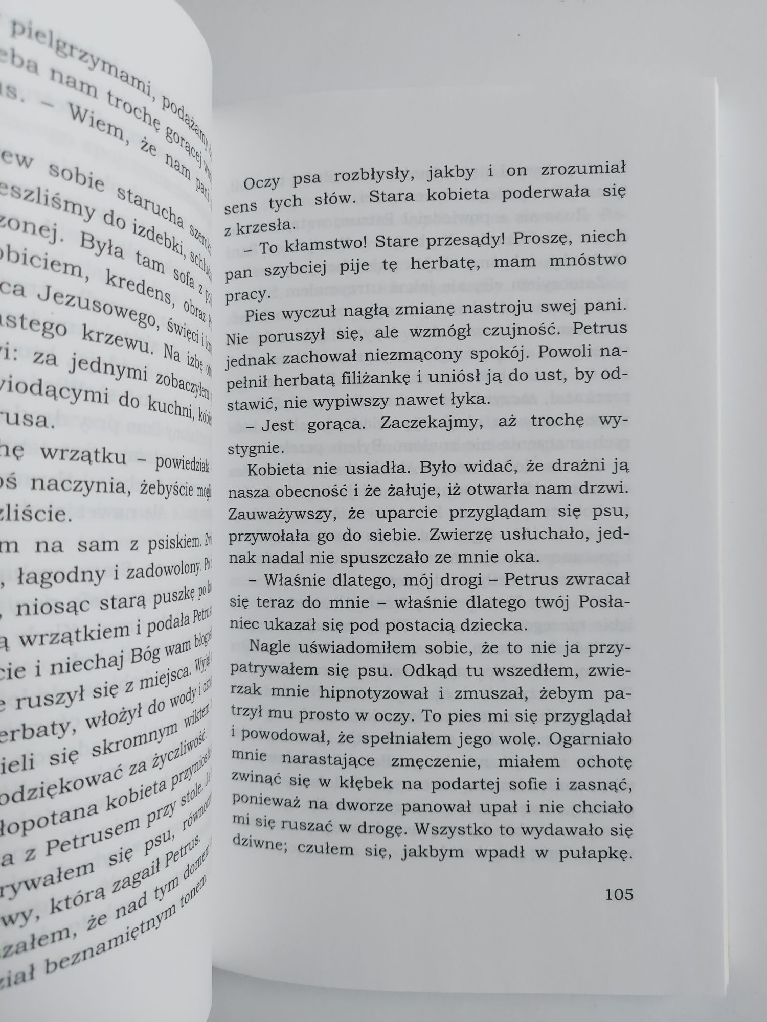 Pielgrzym - Paulo Coelho