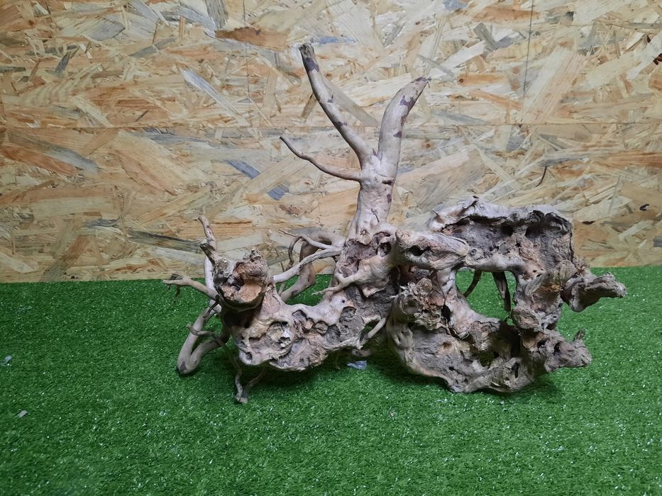 Korzeń do akwarium Red Moore Wood nr 813 o wymiarach 44/28/27