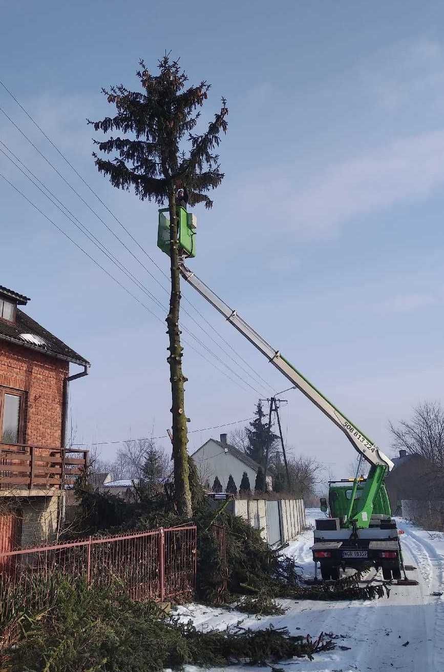 Podnośnik koszowy, zwyżka, wynajem i usługi, wycinka drzew.