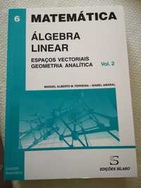 Livro algébra linear