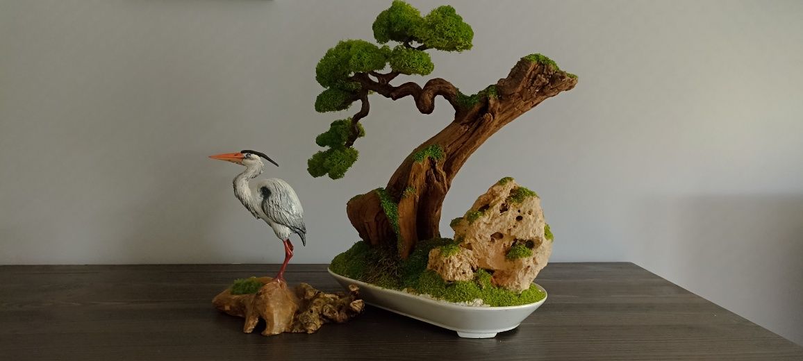 Drzewko bonsai duże mech chrobotek
