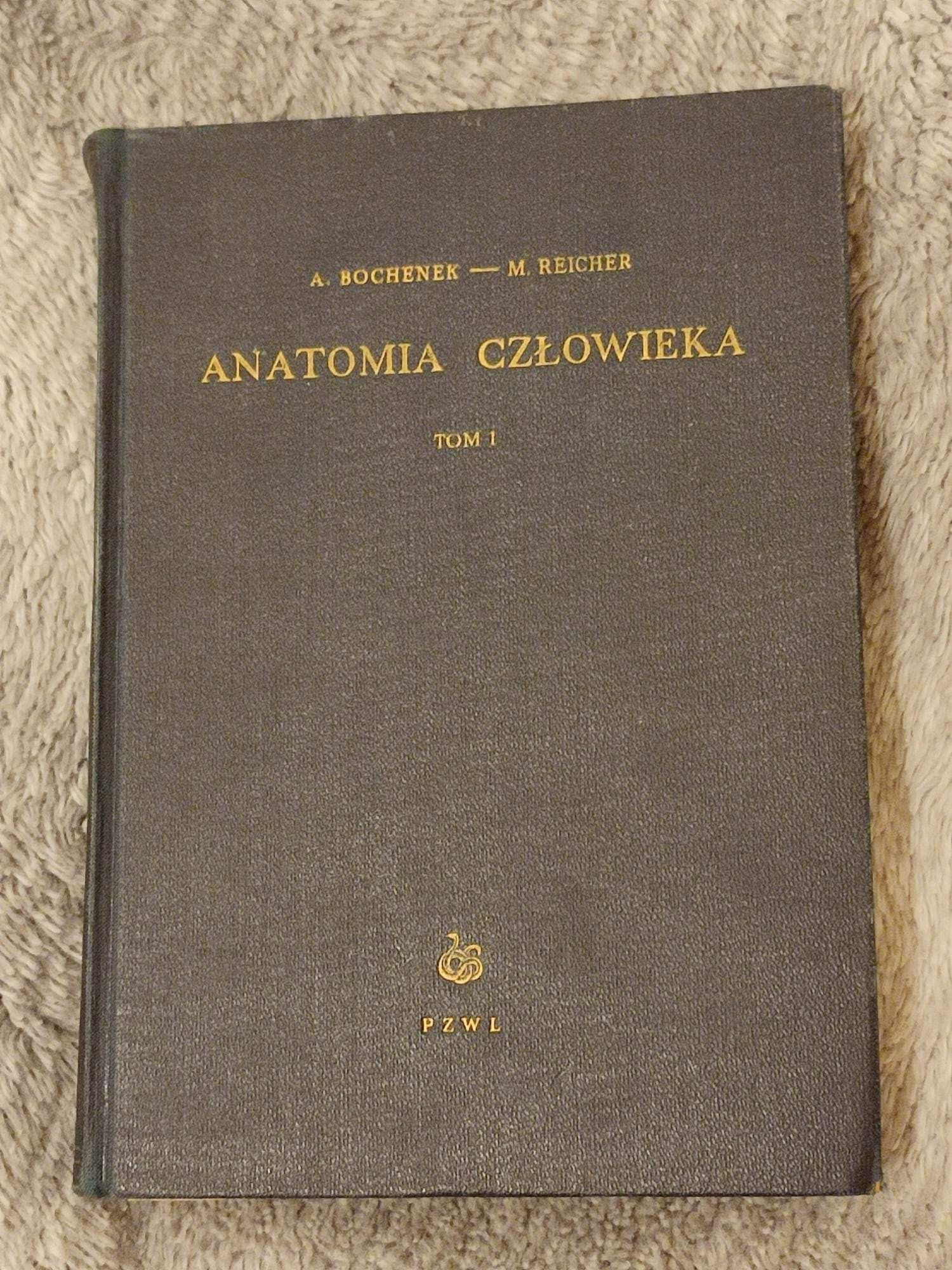 Anatomia człowieka tom 1- A. Bochenek, M. Reicher