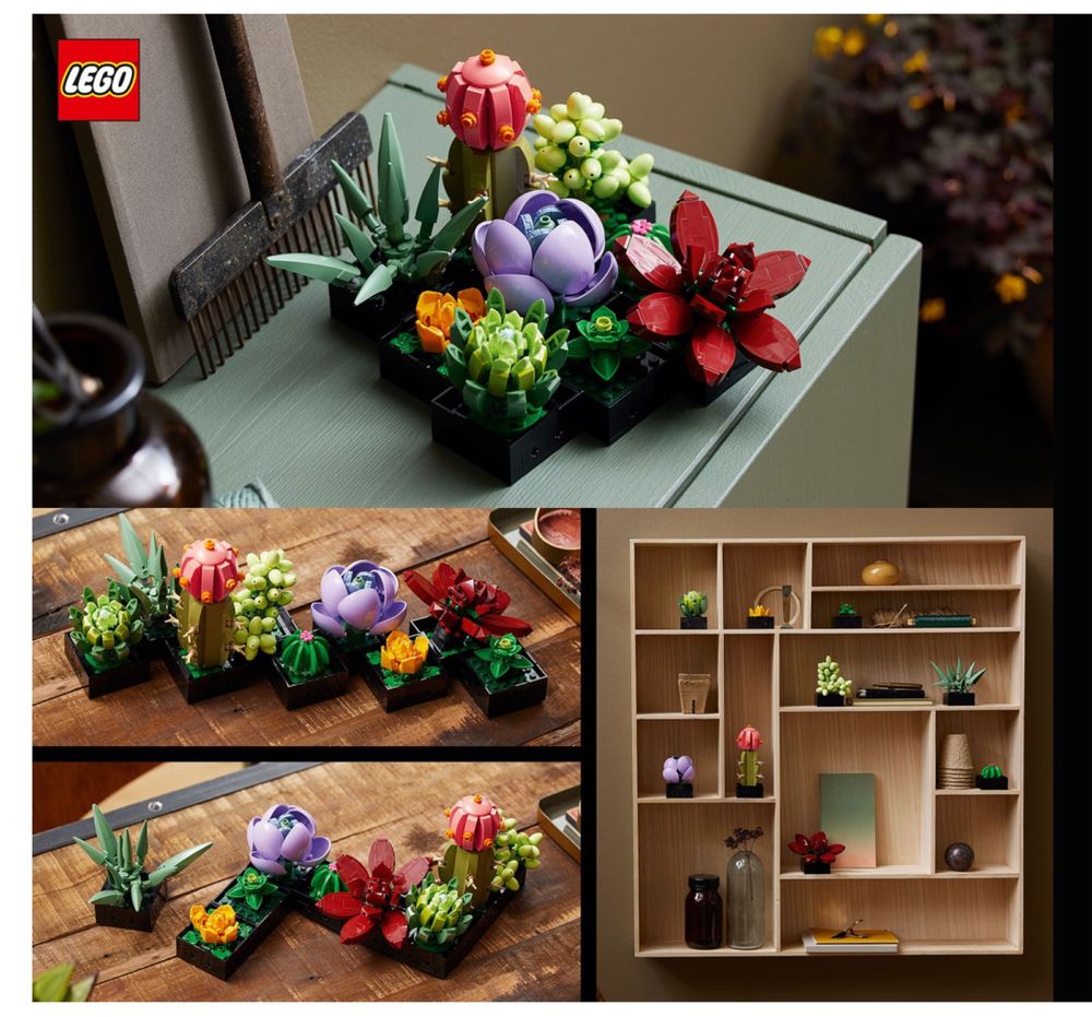 LEGO Botanicals Сукуленти
