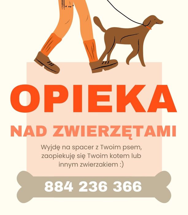 Opieka nad zwierzętami - Warszawa