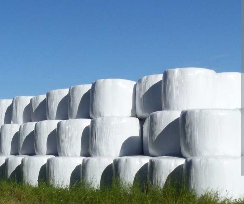 Świerza sianokiszonka