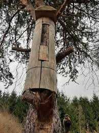 Miód pszczeli w LESIE z łak kwiatowych tylko 100 zł słoik PYCHA!