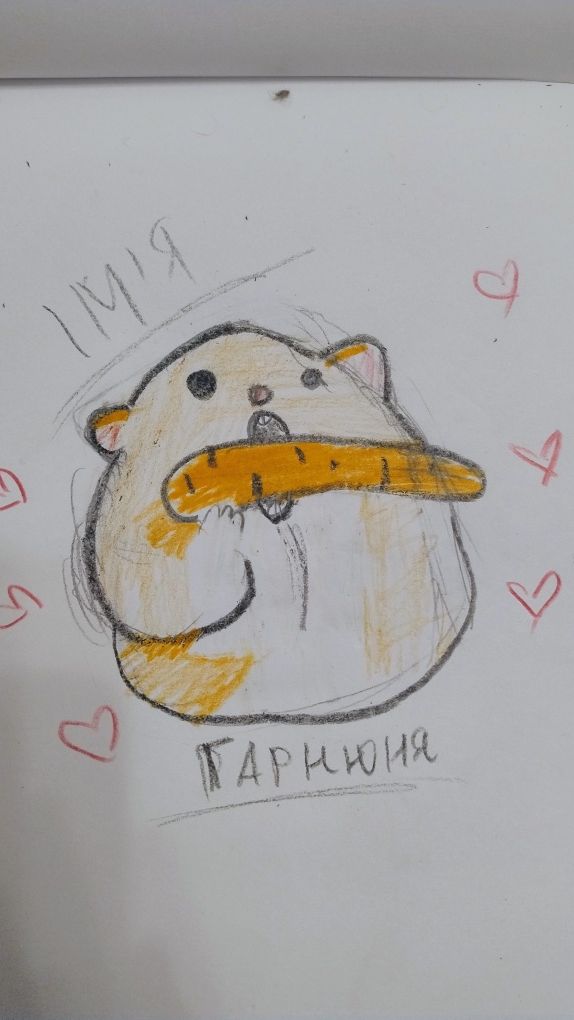 Намалюю вашого улюбленця