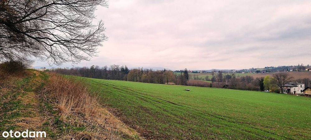 Dz. o pow. 912m2 lub od 800m2 do 1200m2, a może o pow. 40000m2