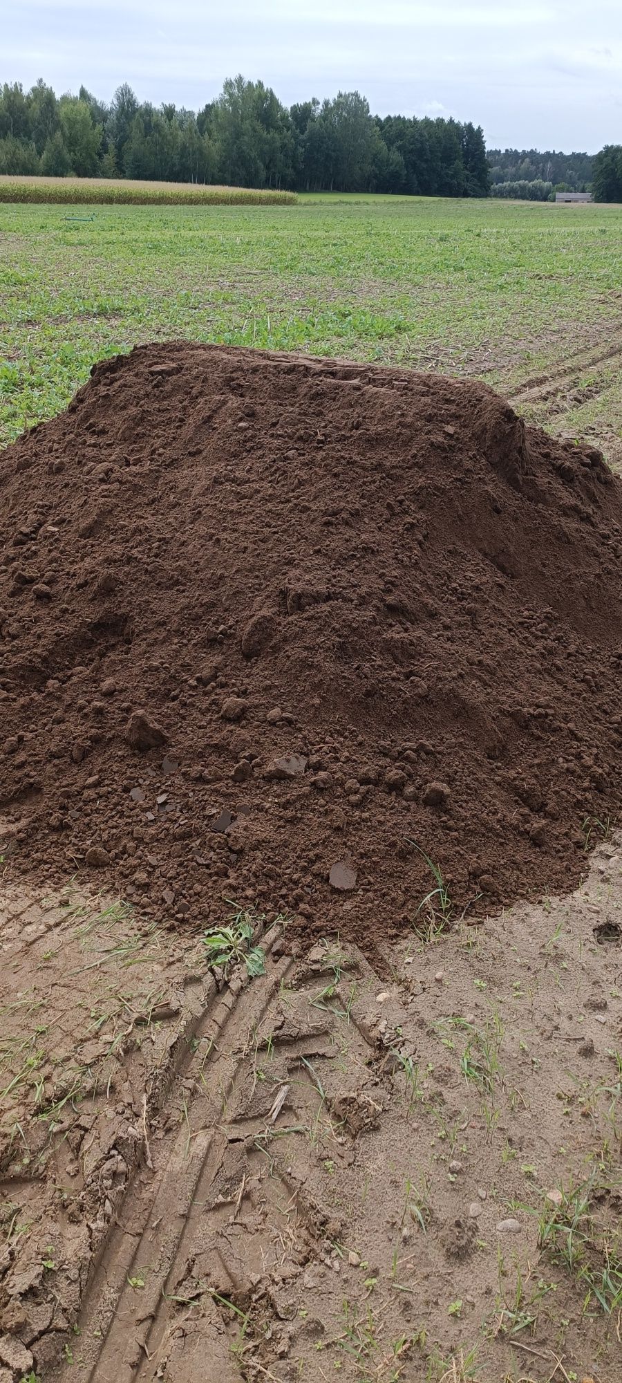 Ziemia kamień płukany żwir piasek płukan kruszywo drogowe od 1 tony