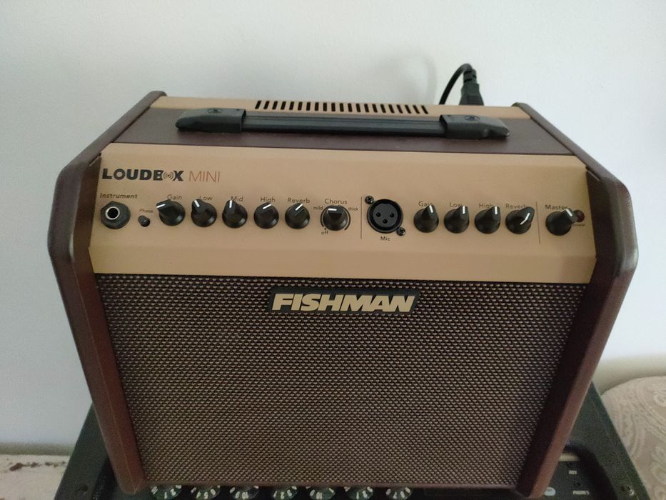 Fishman Loud Box mini