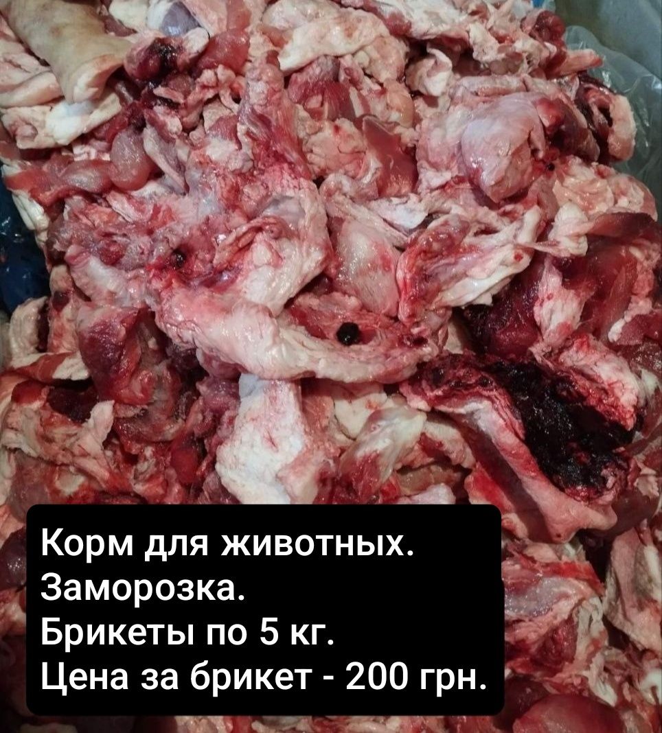 Мясо. Корм. Обрезки. Еда для животных.