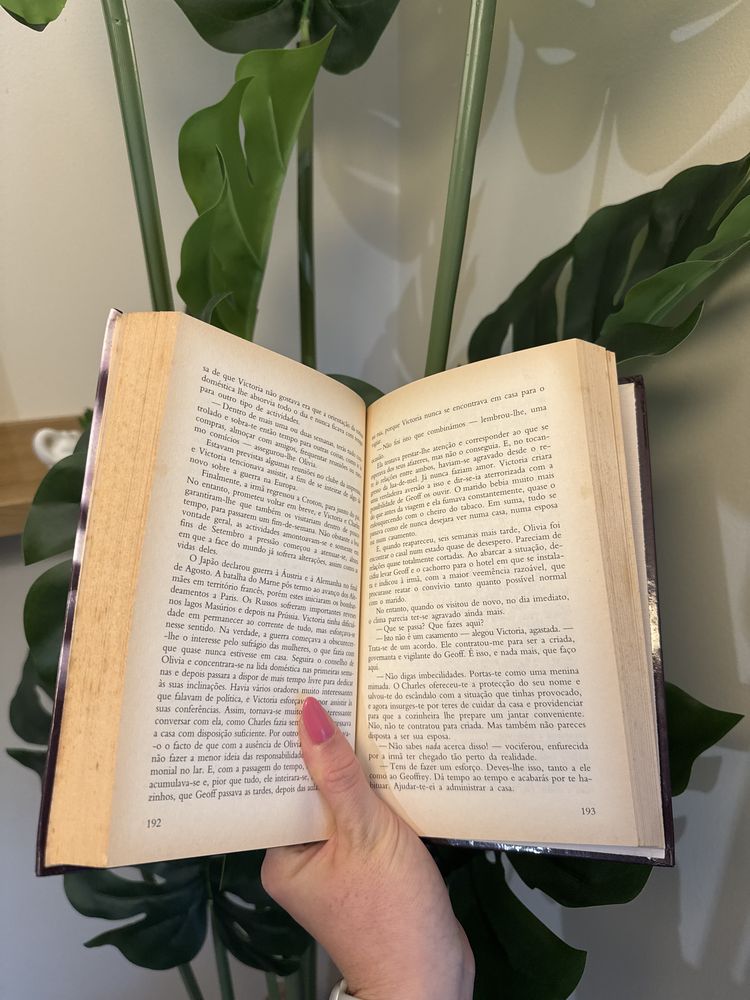 Livro de capa dura “A Imagem no Espelho” - Danielle Steel