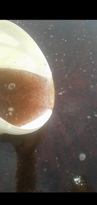 Дафнія мороженний корм с коретрой для акваріумних риб і креветок.