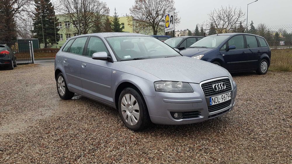 Audi A3 8p  1.6 benz 102KM 177Tyś Przebiegu  Zarejestrowana w Polsce