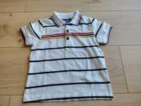 Polo Coccodrillo Elegant 98