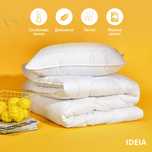 Двошарова антиалергенна всезонні ковдри "AirDream Exclusive" TM IDEIA