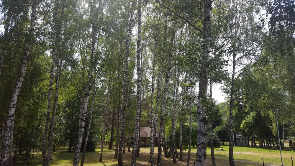 Okuninka Apartamenty Nad wodą! J. Białe
