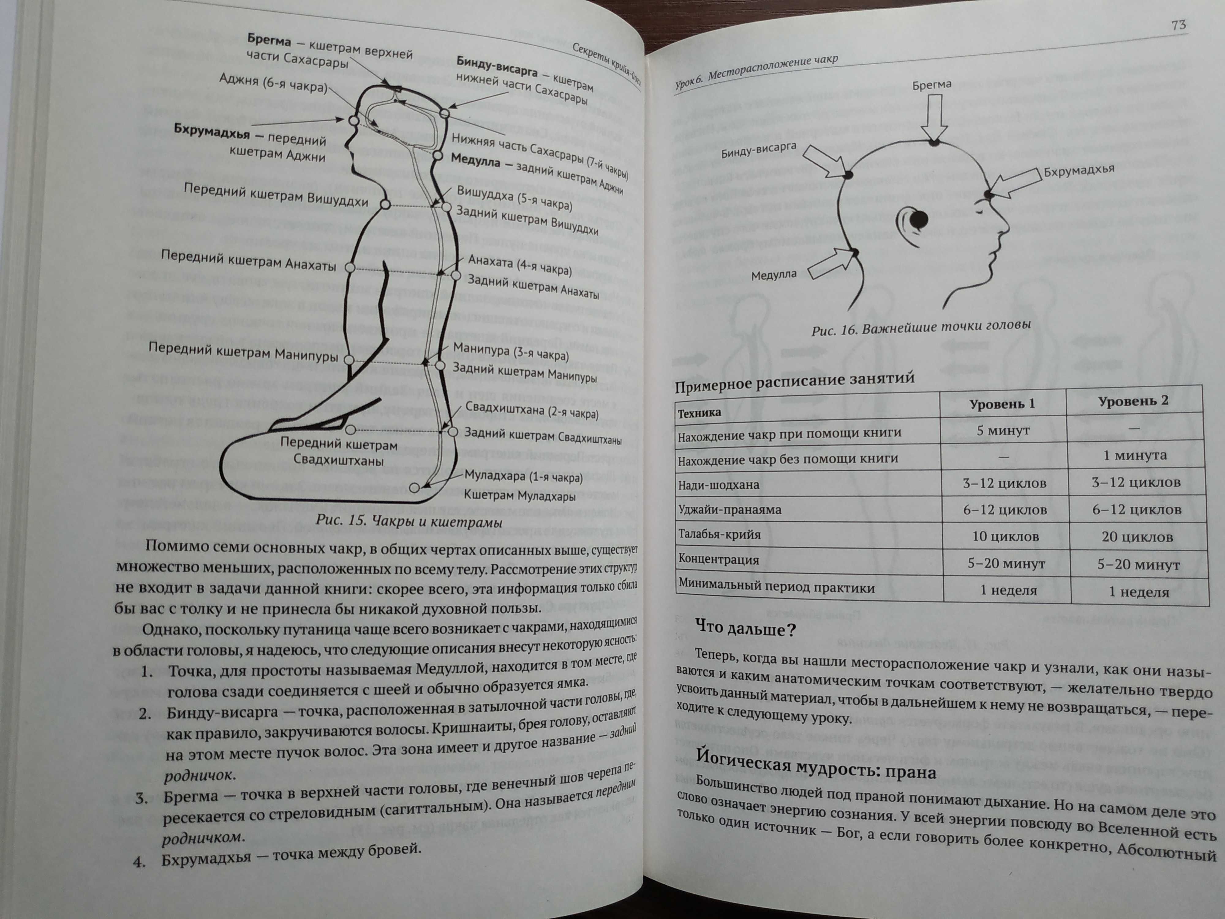 Секреты крийя-йоги.Полный курс теории и практики.Джей Стивенс.Тантра.