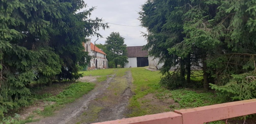 Siedlisko z zabudowaniami