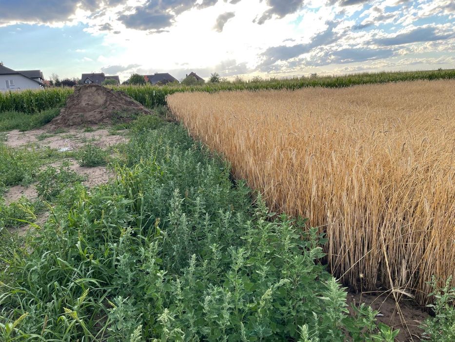 Działki inwestycyjne Budowlane/rolne