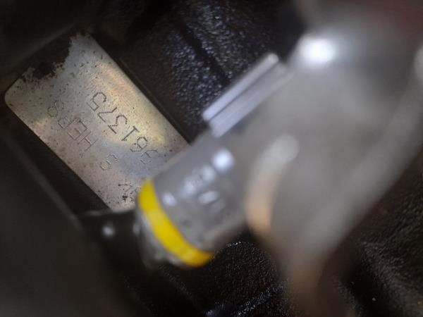 Motor completo RENAULT Megane III (BZ0_)