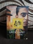 Shilpi Somaya Gowda Ukochany syn