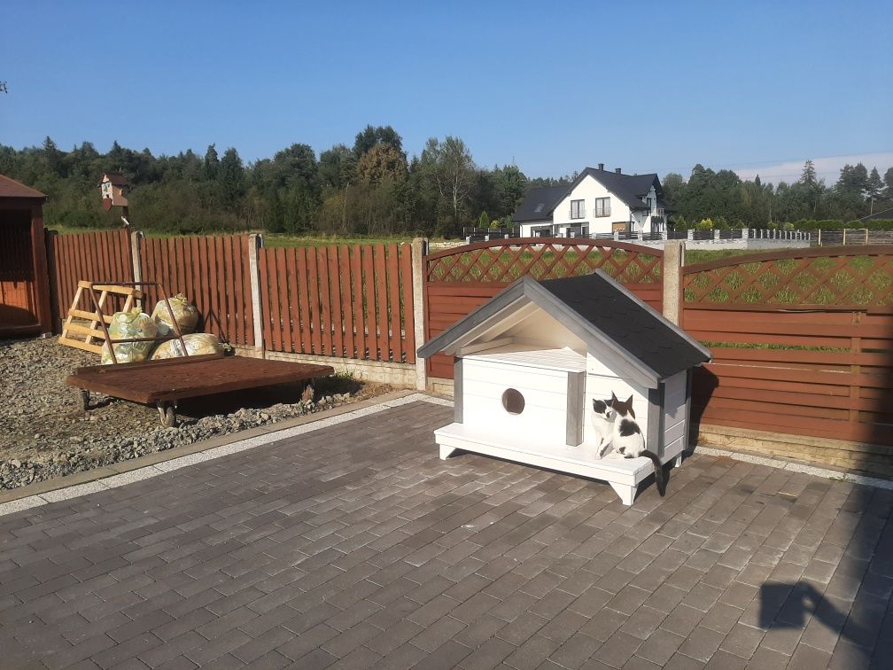 Buda dla dwóch kotów