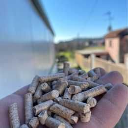 Pellets (entrega gratis)