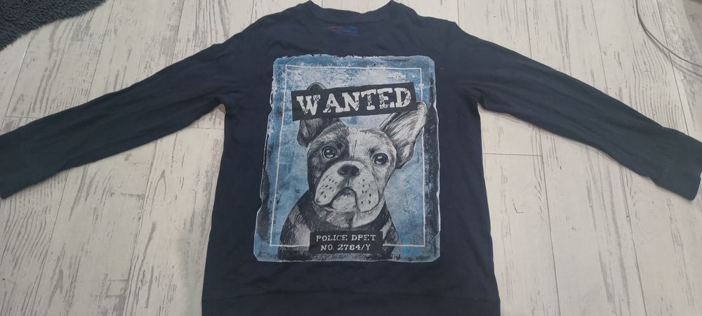 Bluzka marki Cocodrillo