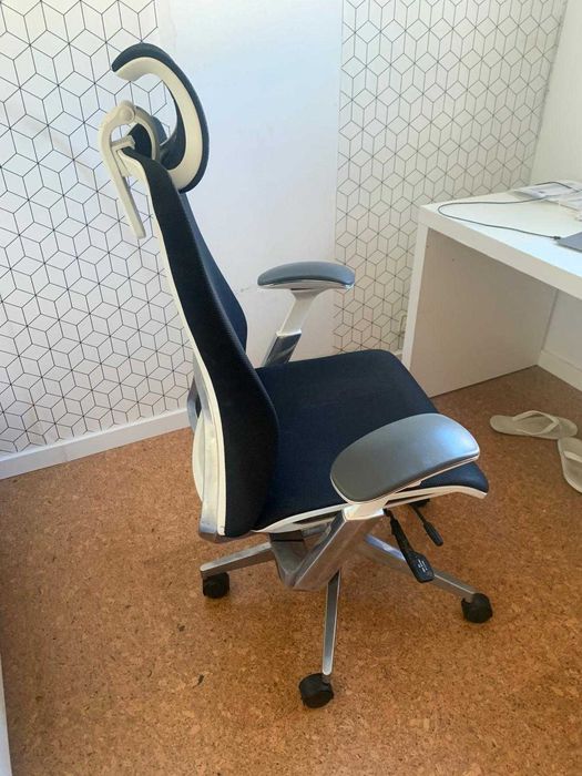 Cadeira Ergonômica Profissional Miller