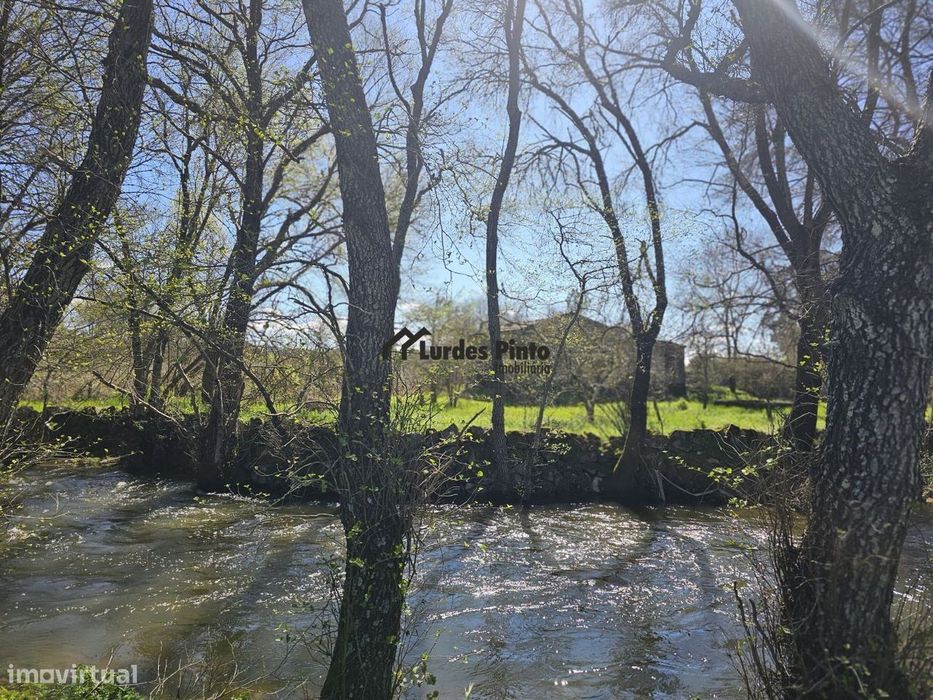 Quinta com casa á beira do Rio