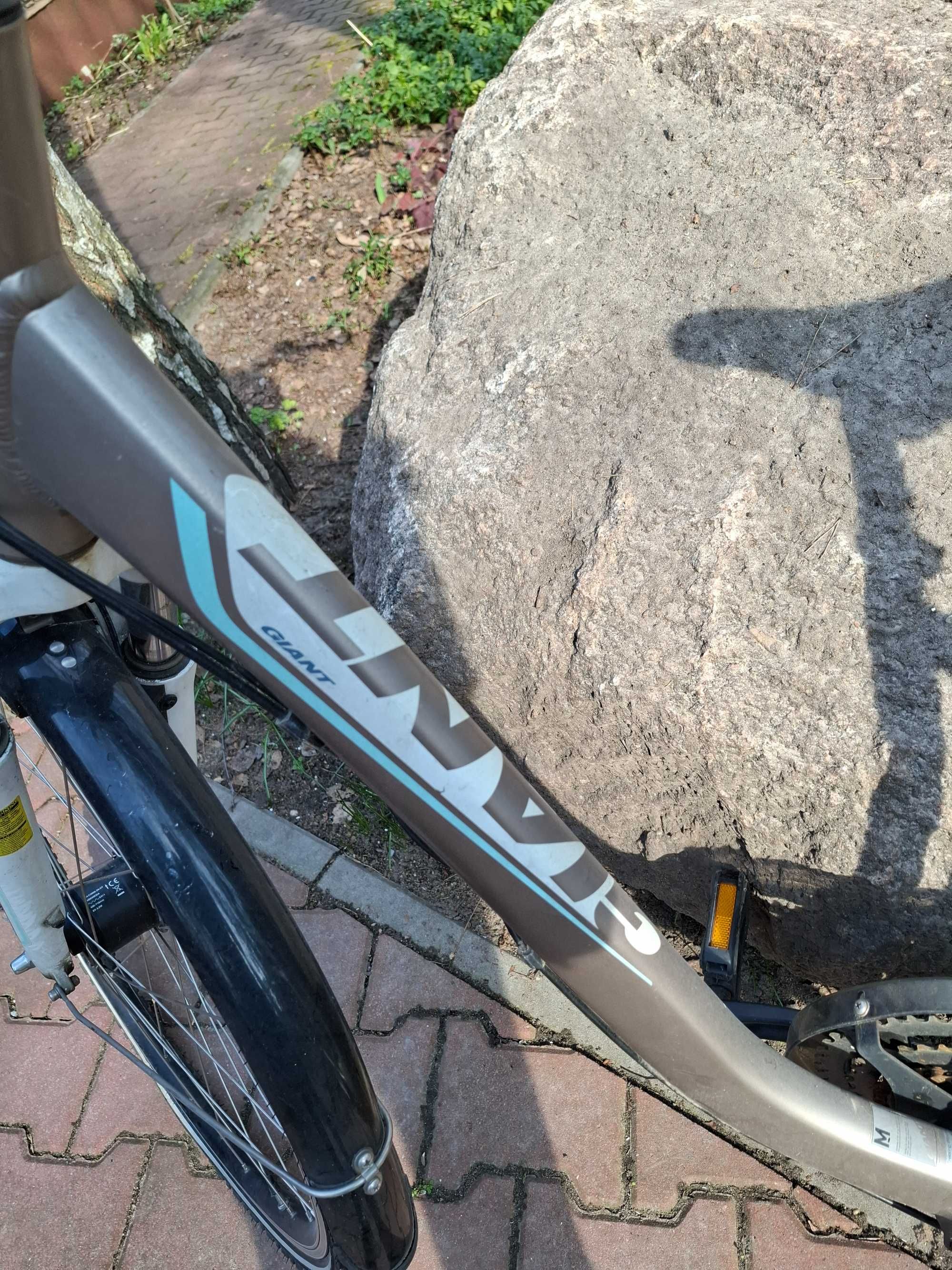 Rower damka Giant Argento